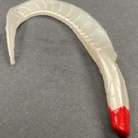 Maggot