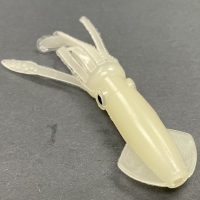 Squid